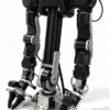 Cereboto OpenArm V1.1 Waist Version